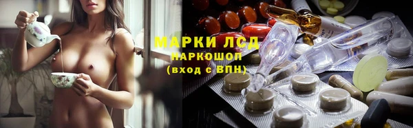 тгк Алзамай