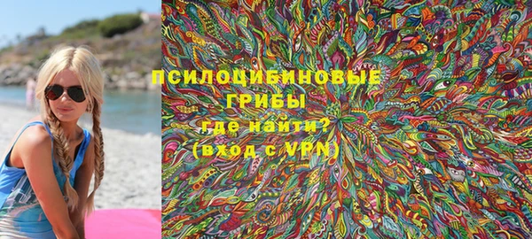 тгк Алзамай