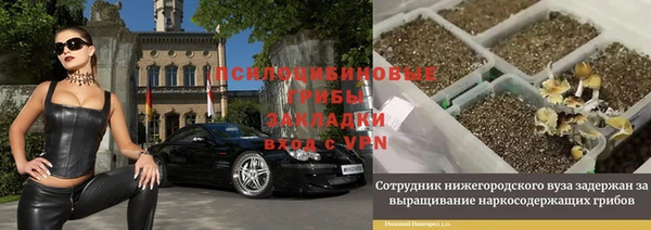 apvp Алексеевка
