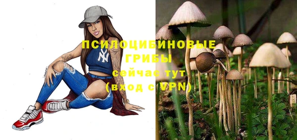 стаф Алексин