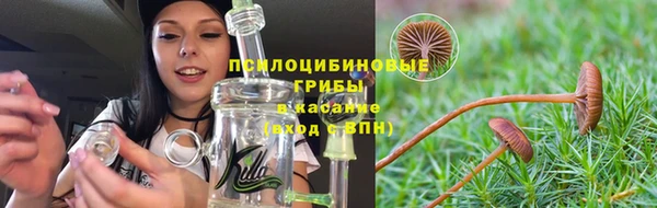стаф Алексин
